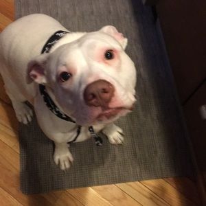 Meet your Posher, Rebecca